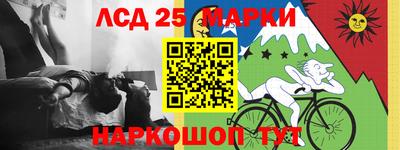 кокс Кингисепп