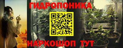 кокс Кингисепп
